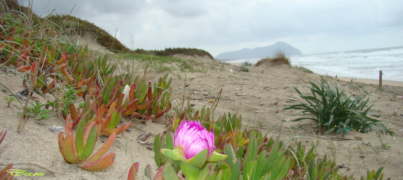 Parco nazionale del Circeo